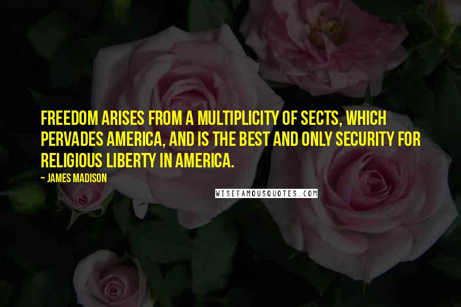 James Madison Quotes: Freedom arises from a multiplicity of sects, which pervades America, and is the best and only security for religious liberty in America.