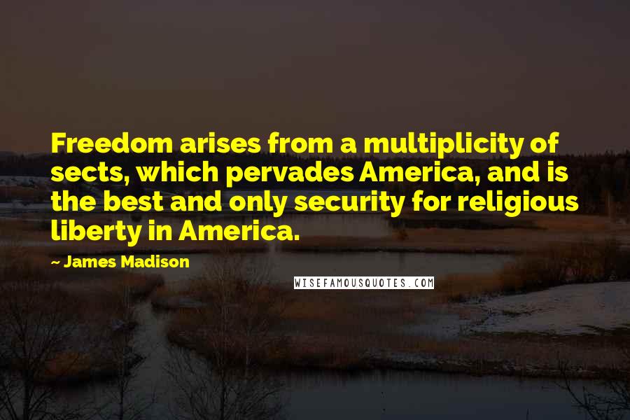 James Madison Quotes: Freedom arises from a multiplicity of sects, which pervades America, and is the best and only security for religious liberty in America.