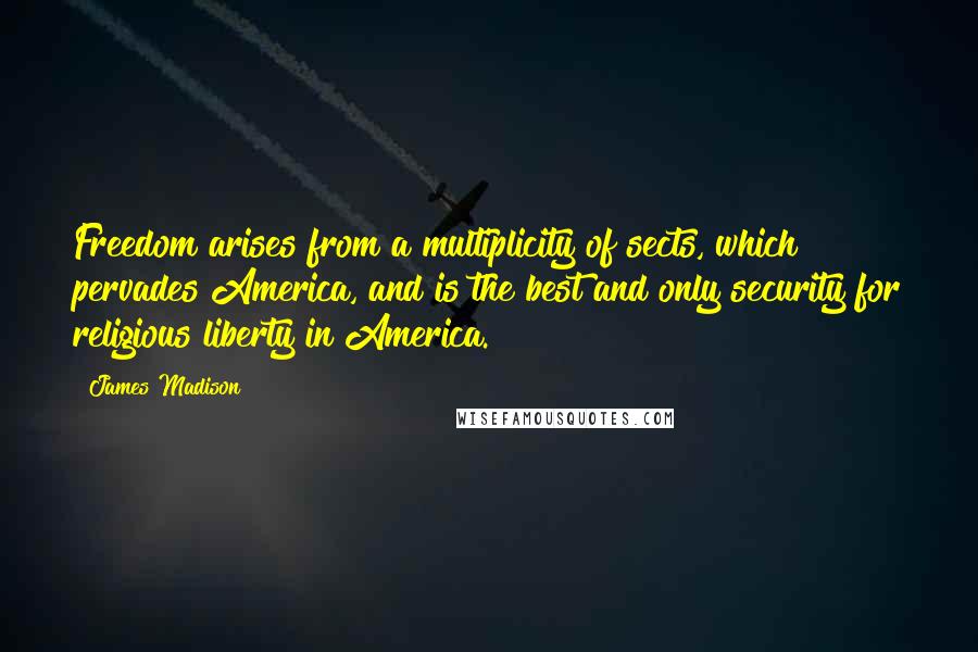 James Madison Quotes: Freedom arises from a multiplicity of sects, which pervades America, and is the best and only security for religious liberty in America.