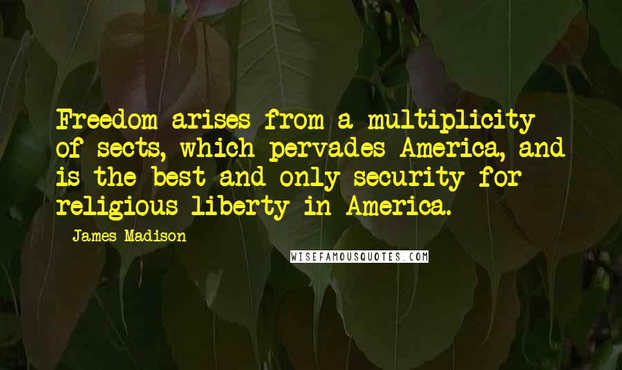 James Madison Quotes: Freedom arises from a multiplicity of sects, which pervades America, and is the best and only security for religious liberty in America.