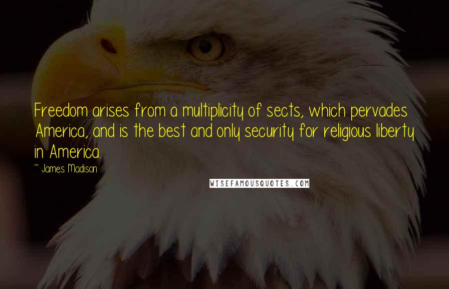 James Madison Quotes: Freedom arises from a multiplicity of sects, which pervades America, and is the best and only security for religious liberty in America.