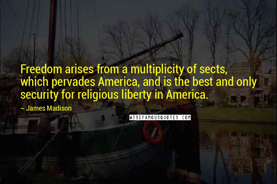 James Madison Quotes: Freedom arises from a multiplicity of sects, which pervades America, and is the best and only security for religious liberty in America.