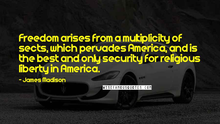 James Madison Quotes: Freedom arises from a multiplicity of sects, which pervades America, and is the best and only security for religious liberty in America.