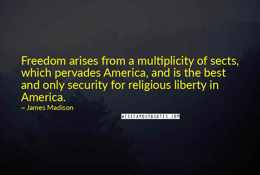 James Madison Quotes: Freedom arises from a multiplicity of sects, which pervades America, and is the best and only security for religious liberty in America.