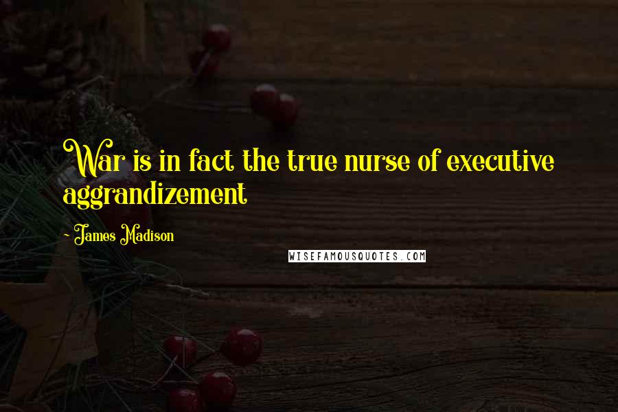 James Madison Quotes: War is in fact the true nurse of executive aggrandizement