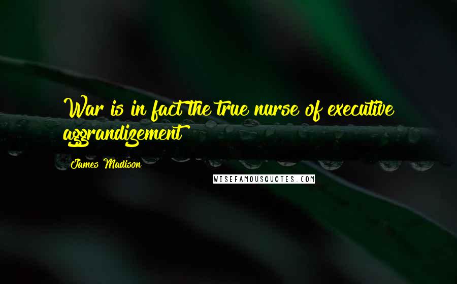 James Madison Quotes: War is in fact the true nurse of executive aggrandizement