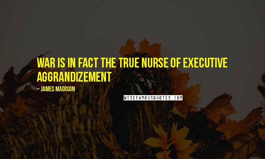 James Madison Quotes: War is in fact the true nurse of executive aggrandizement