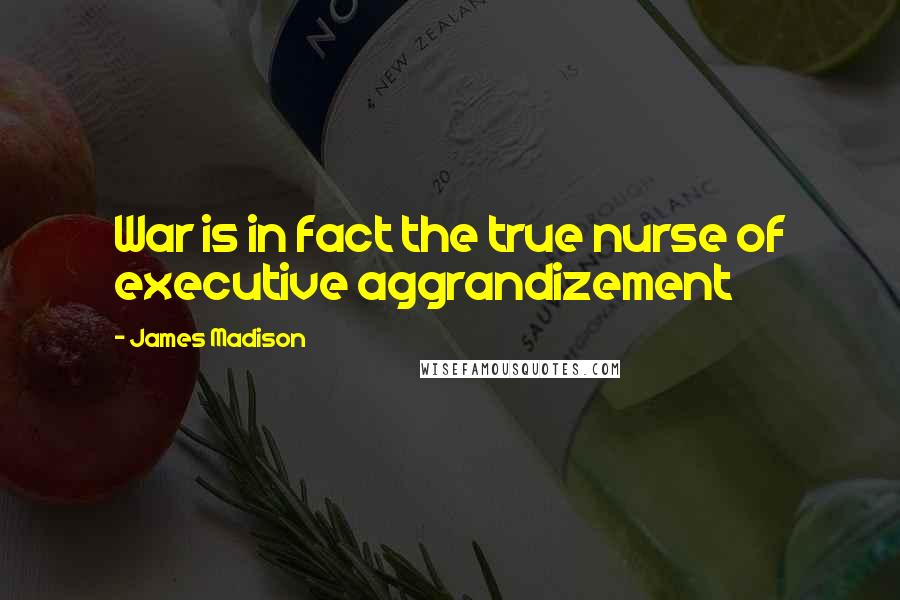 James Madison Quotes: War is in fact the true nurse of executive aggrandizement