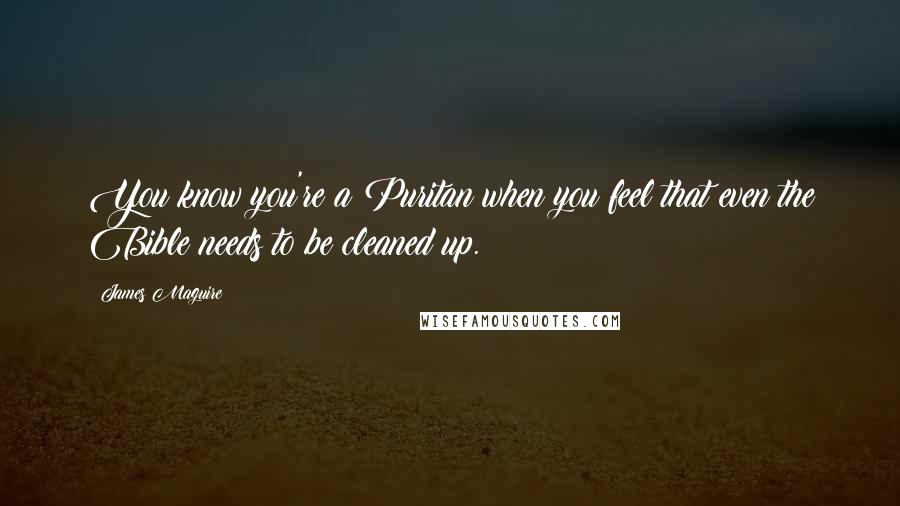 James Maguire Quotes: You know you're a Puritan when you feel that even the Bible needs to be cleaned up.