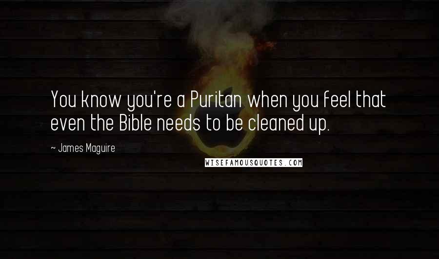 James Maguire Quotes: You know you're a Puritan when you feel that even the Bible needs to be cleaned up.