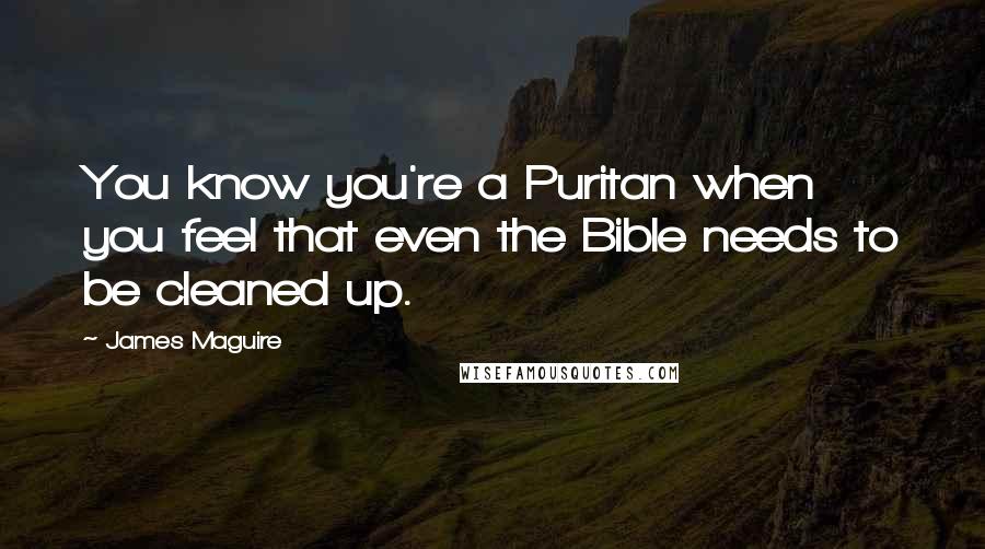 James Maguire Quotes: You know you're a Puritan when you feel that even the Bible needs to be cleaned up.