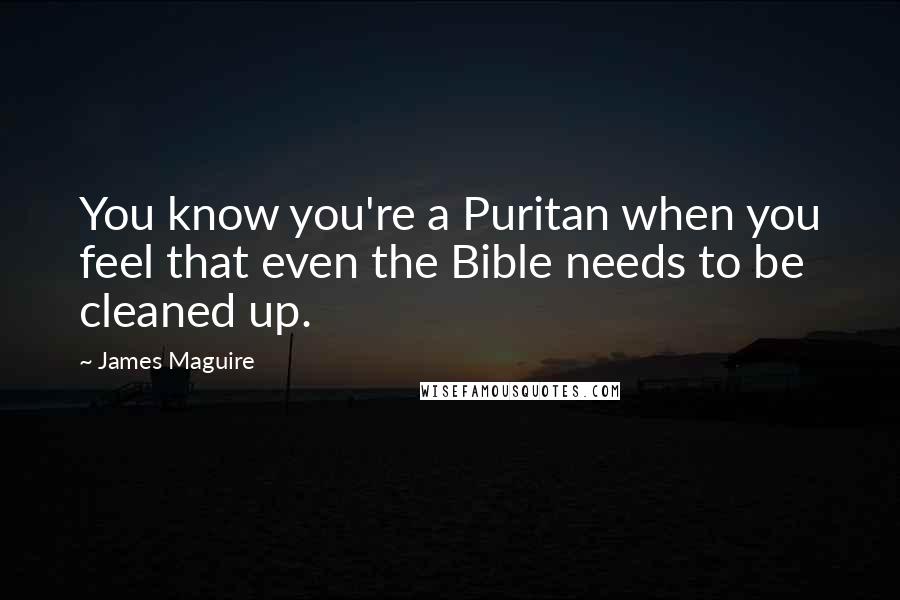 James Maguire Quotes: You know you're a Puritan when you feel that even the Bible needs to be cleaned up.
