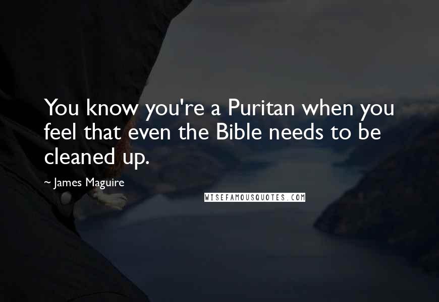 James Maguire Quotes: You know you're a Puritan when you feel that even the Bible needs to be cleaned up.