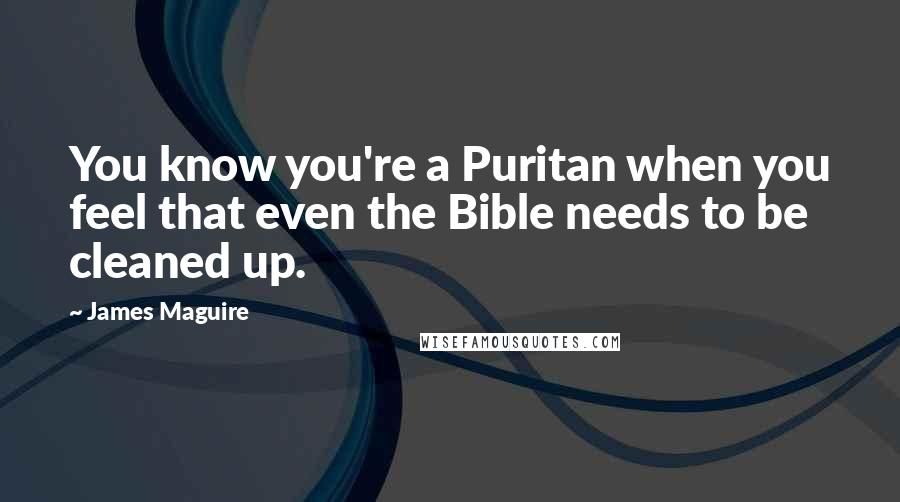 James Maguire Quotes: You know you're a Puritan when you feel that even the Bible needs to be cleaned up.