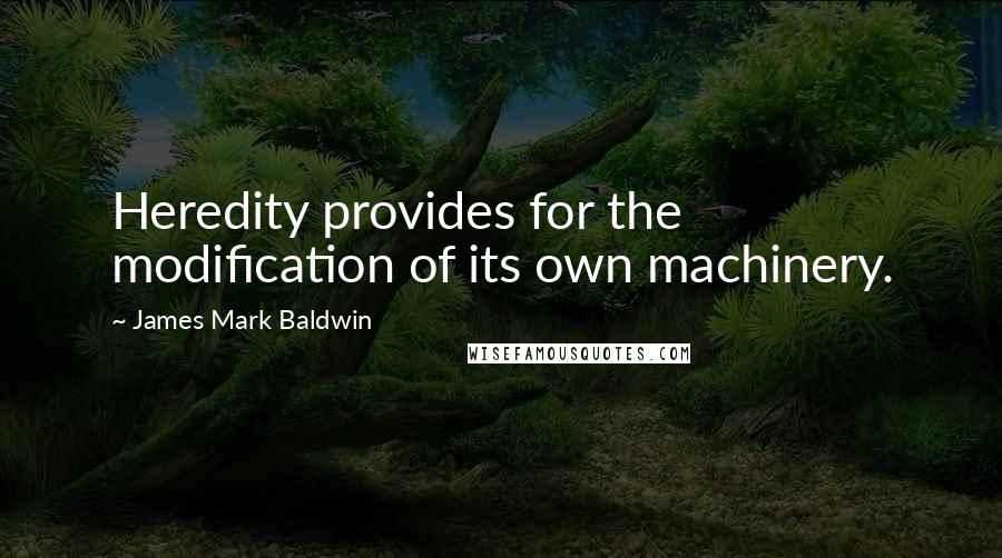 James Mark Baldwin Quotes: Heredity provides for the modification of its own machinery.