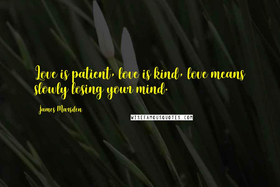 James Marsden Quotes: Love is patient, love is kind, love means slowly losing your mind.