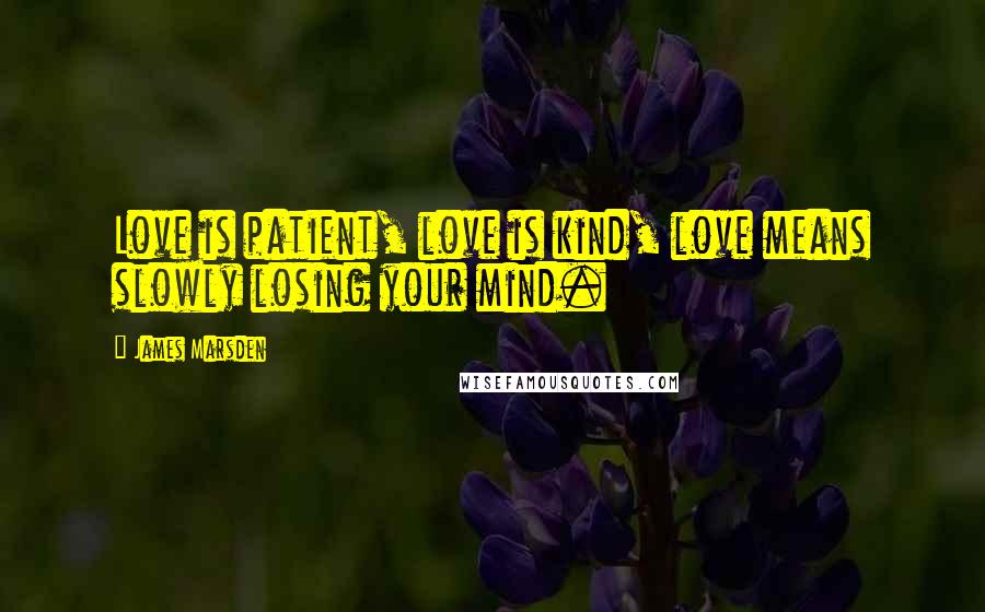 James Marsden Quotes: Love is patient, love is kind, love means slowly losing your mind.