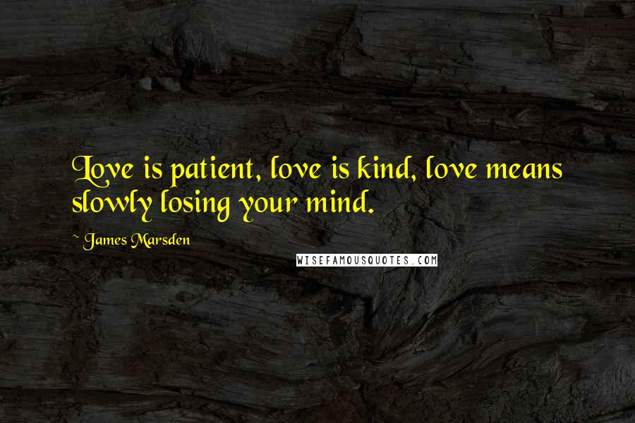 James Marsden Quotes: Love is patient, love is kind, love means slowly losing your mind.