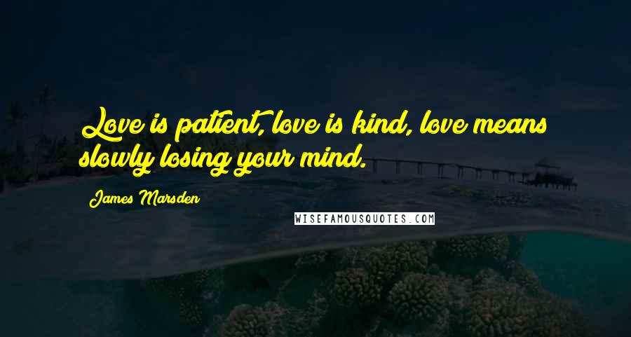 James Marsden Quotes: Love is patient, love is kind, love means slowly losing your mind.