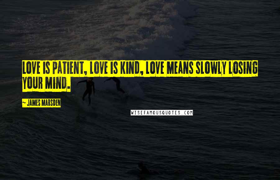 James Marsden Quotes: Love is patient, love is kind, love means slowly losing your mind.