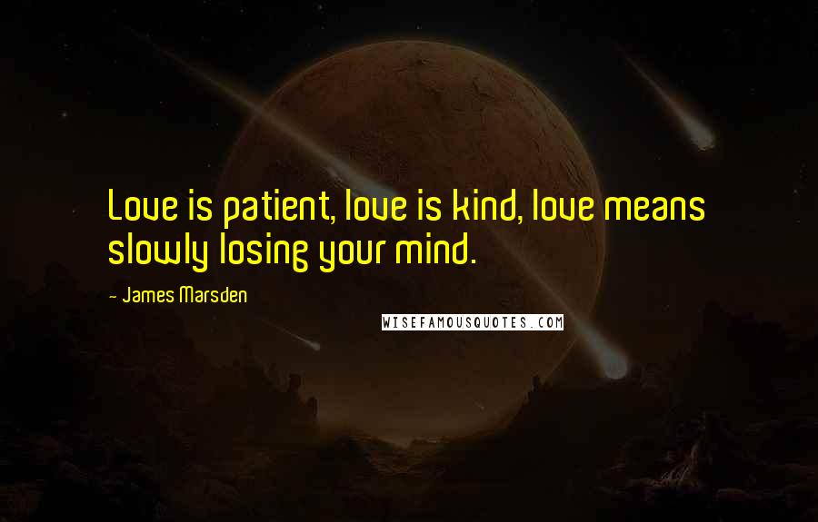 James Marsden Quotes: Love is patient, love is kind, love means slowly losing your mind.