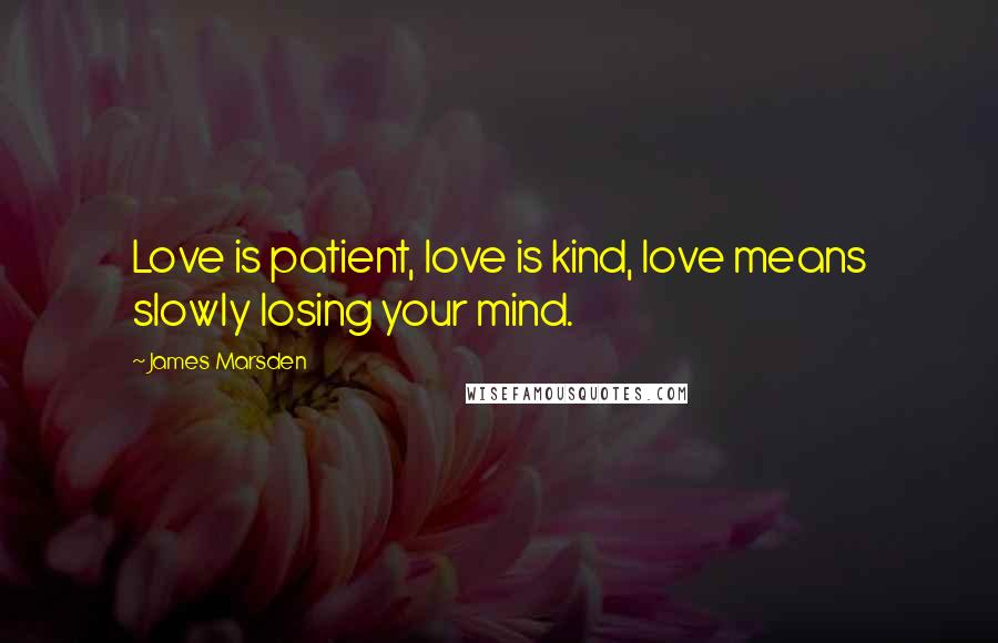 James Marsden Quotes: Love is patient, love is kind, love means slowly losing your mind.