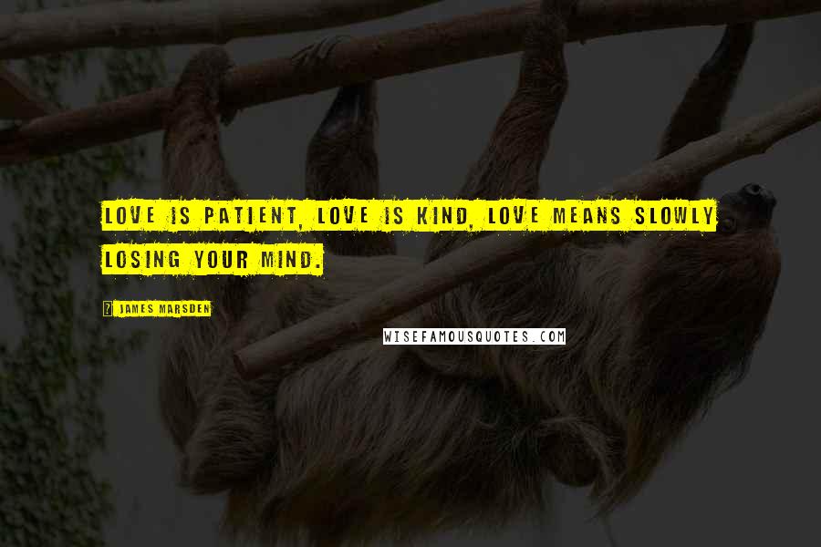 James Marsden Quotes: Love is patient, love is kind, love means slowly losing your mind.