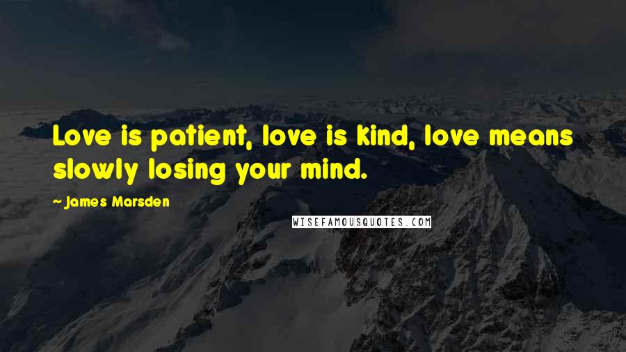 James Marsden Quotes: Love is patient, love is kind, love means slowly losing your mind.