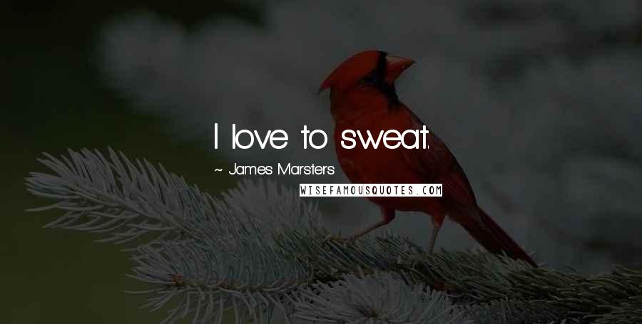 James Marsters Quotes: I love to sweat.