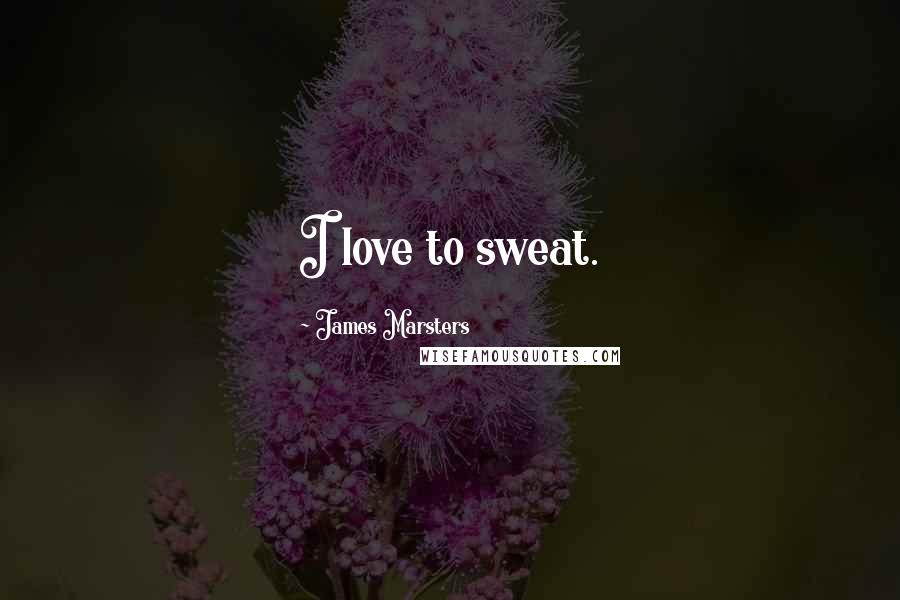 James Marsters Quotes: I love to sweat.