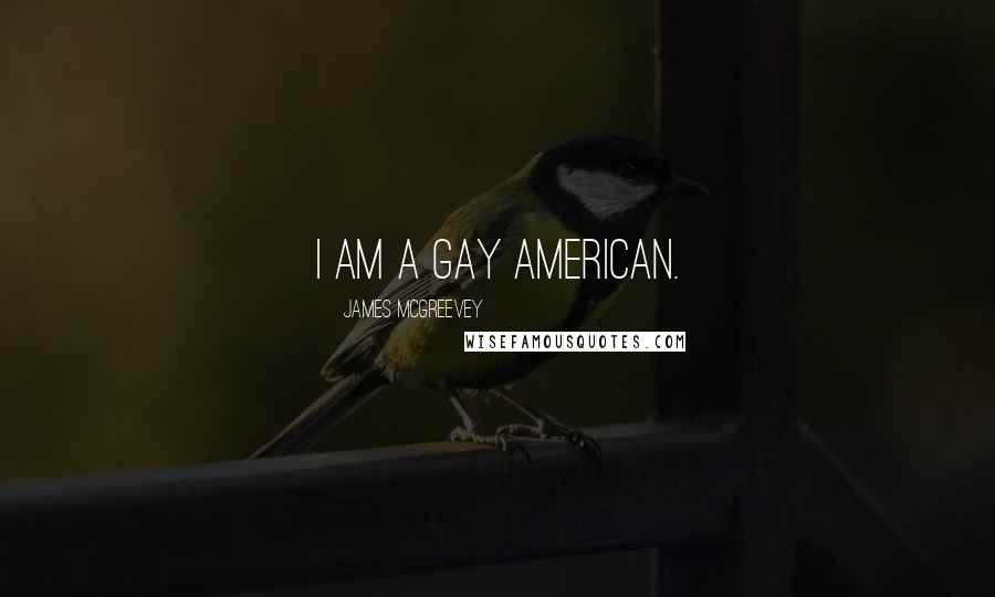 James McGreevey Quotes: I am a gay American.