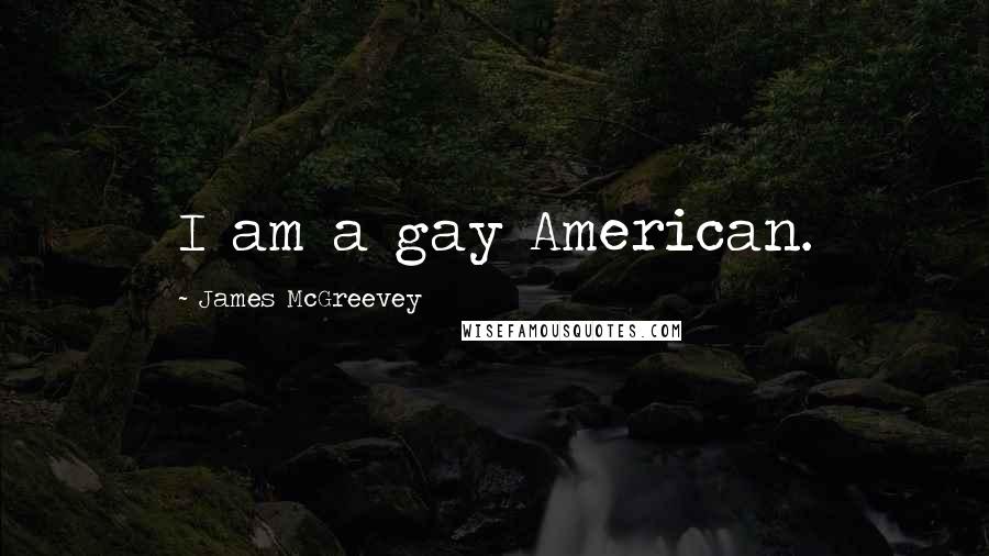 James McGreevey Quotes: I am a gay American.