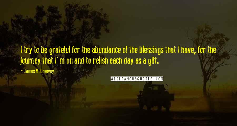 James McGreevey Quotes: I try to be grateful for the abundance of the blessings that I have, for the journey that I'm on and to relish each day as a gift.