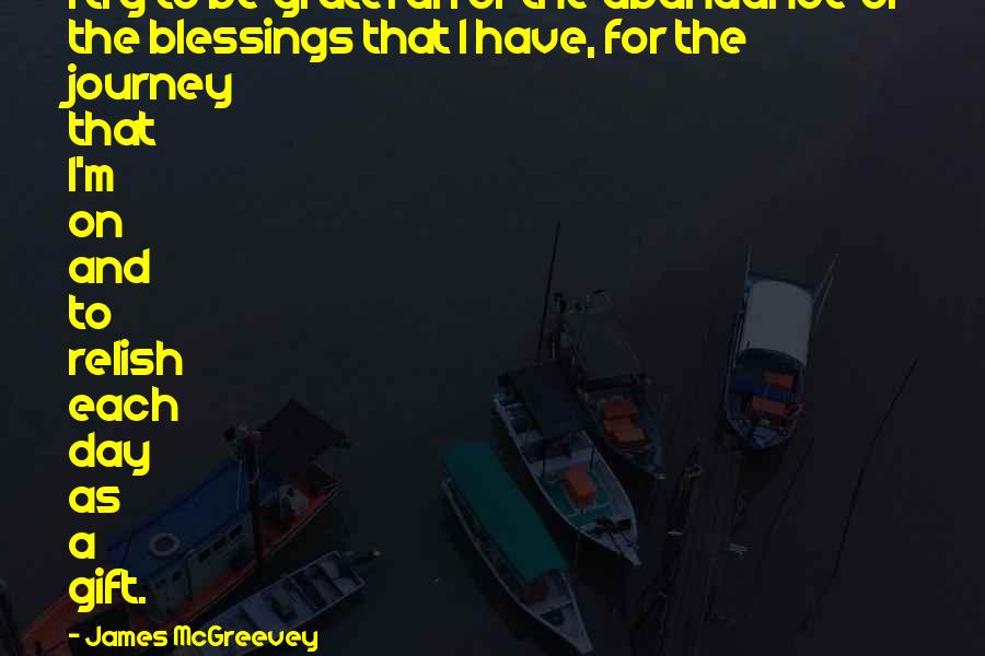 James McGreevey Quotes: I try to be grateful for the abundance of the blessings that I have, for the journey that I'm on and to relish each day as a gift.