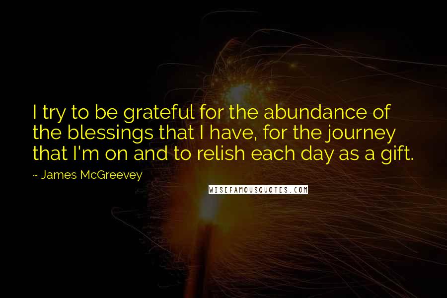 James McGreevey Quotes: I try to be grateful for the abundance of the blessings that I have, for the journey that I'm on and to relish each day as a gift.