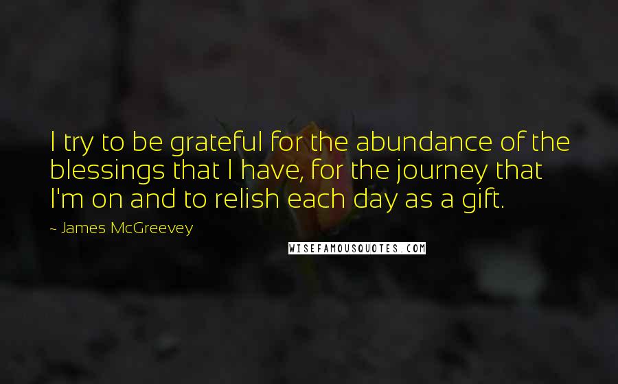 James McGreevey Quotes: I try to be grateful for the abundance of the blessings that I have, for the journey that I'm on and to relish each day as a gift.
