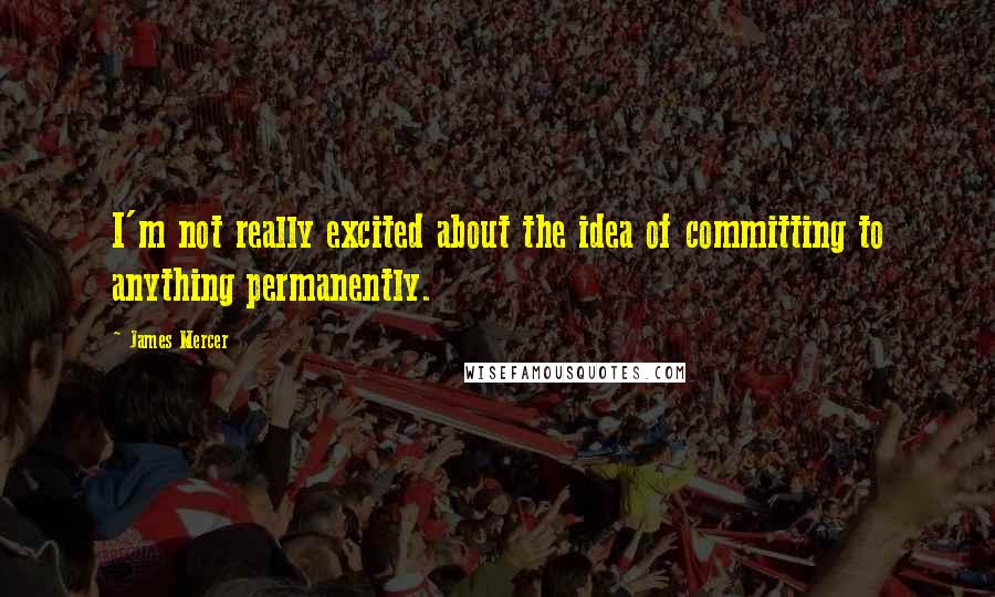 James Mercer Quotes: I'm not really excited about the idea of committing to anything permanently.