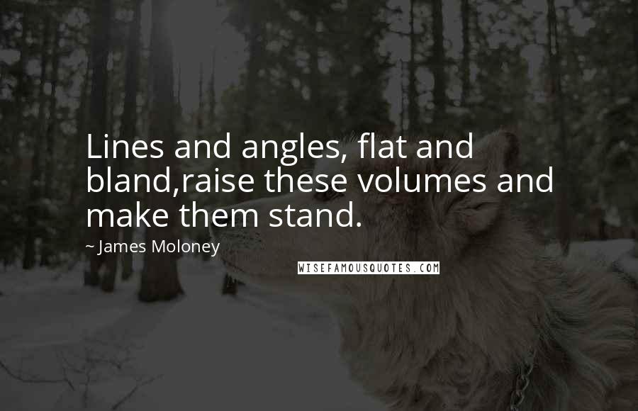 James Moloney Quotes: Lines and angles, flat and bland,raise these volumes and make them stand.