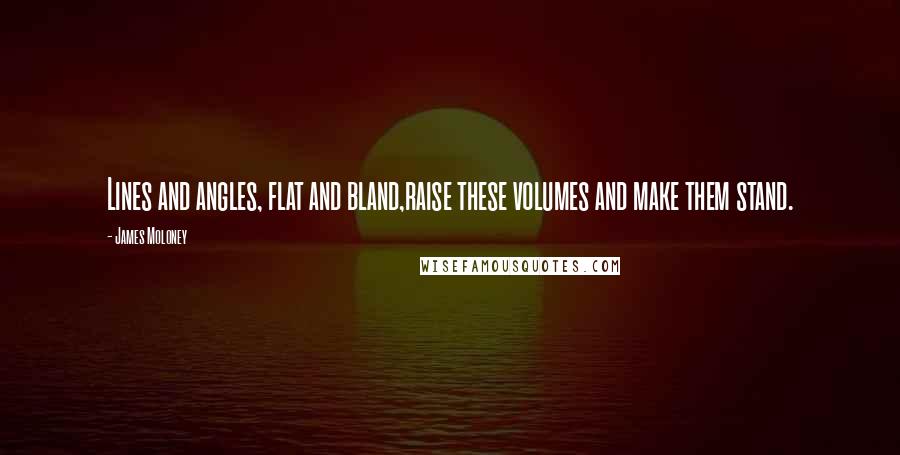 James Moloney Quotes: Lines and angles, flat and bland,raise these volumes and make them stand.