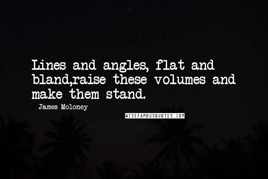 James Moloney Quotes: Lines and angles, flat and bland,raise these volumes and make them stand.