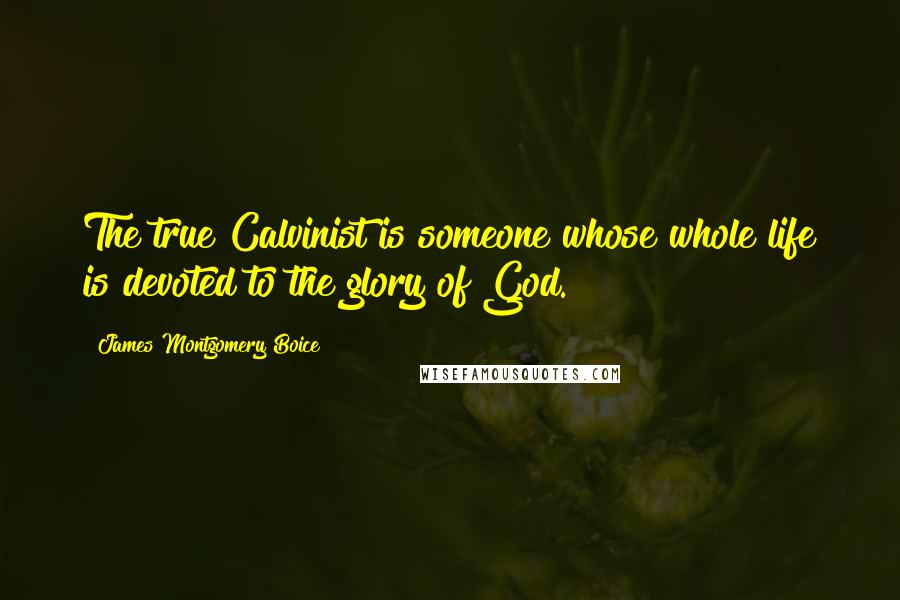 James Montgomery Boice Quotes: The true Calvinist is someone whose whole life is devoted to the glory of God.