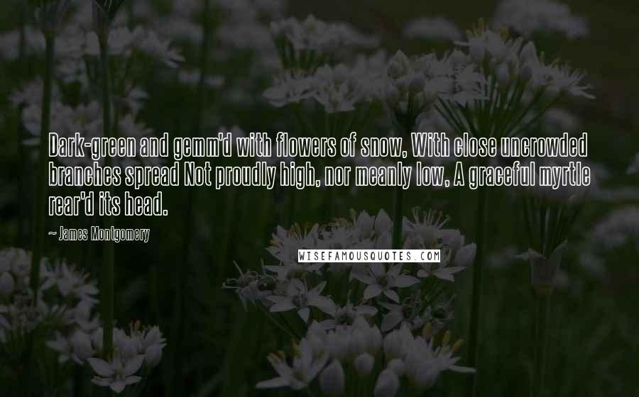 James Montgomery Quotes: Dark-green and gemm'd with flowers of snow, With close uncrowded branches spread Not proudly high, nor meanly low, A graceful myrtle rear'd its head.