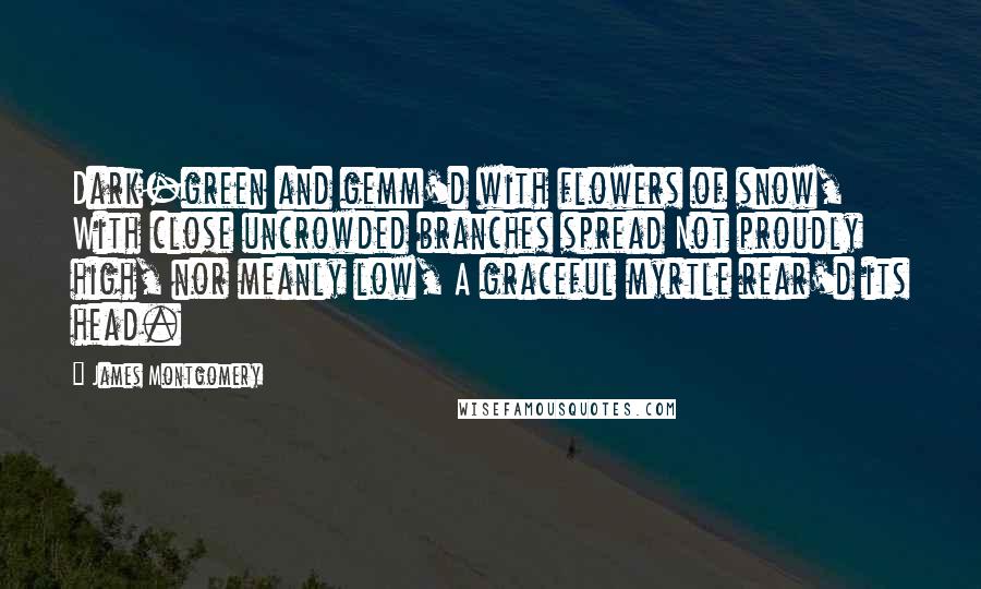 James Montgomery Quotes: Dark-green and gemm'd with flowers of snow, With close uncrowded branches spread Not proudly high, nor meanly low, A graceful myrtle rear'd its head.