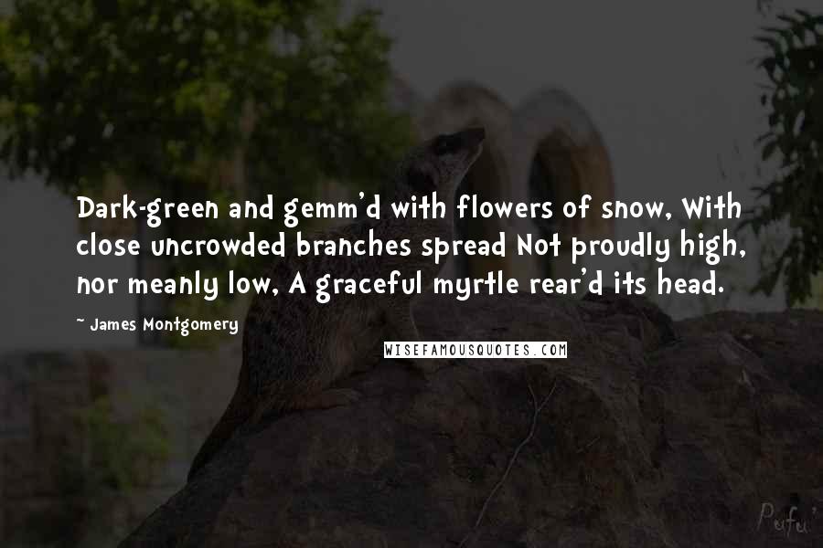 James Montgomery Quotes: Dark-green and gemm'd with flowers of snow, With close uncrowded branches spread Not proudly high, nor meanly low, A graceful myrtle rear'd its head.