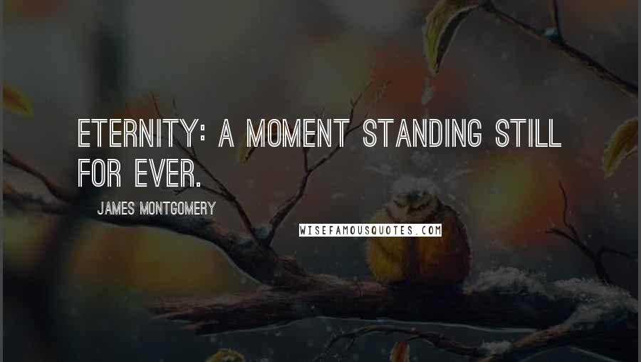 James Montgomery Quotes: Eternity: a moment standing still for ever.