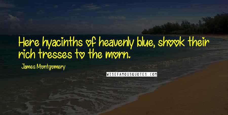 James Montgomery Quotes: Here hyacinths of heavenly blue, shook their rich tresses to the morn.