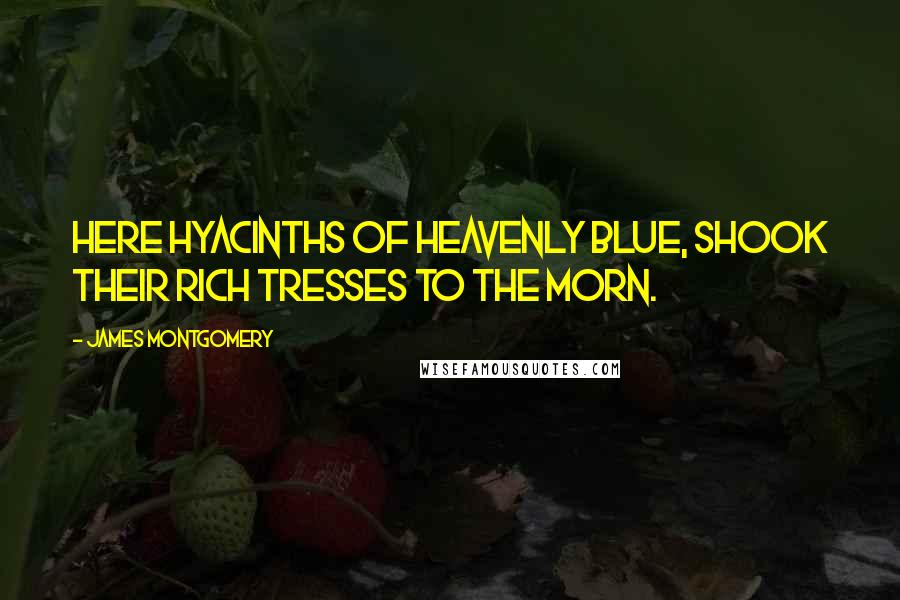 James Montgomery Quotes: Here hyacinths of heavenly blue, shook their rich tresses to the morn.