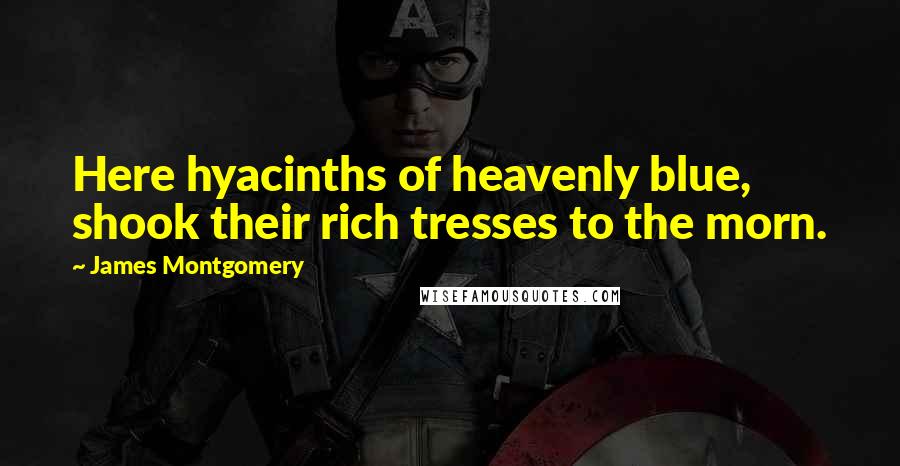 James Montgomery Quotes: Here hyacinths of heavenly blue, shook their rich tresses to the morn.