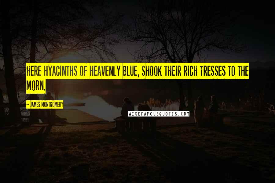 James Montgomery Quotes: Here hyacinths of heavenly blue, shook their rich tresses to the morn.