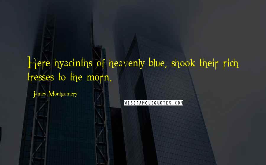 James Montgomery Quotes: Here hyacinths of heavenly blue, shook their rich tresses to the morn.
